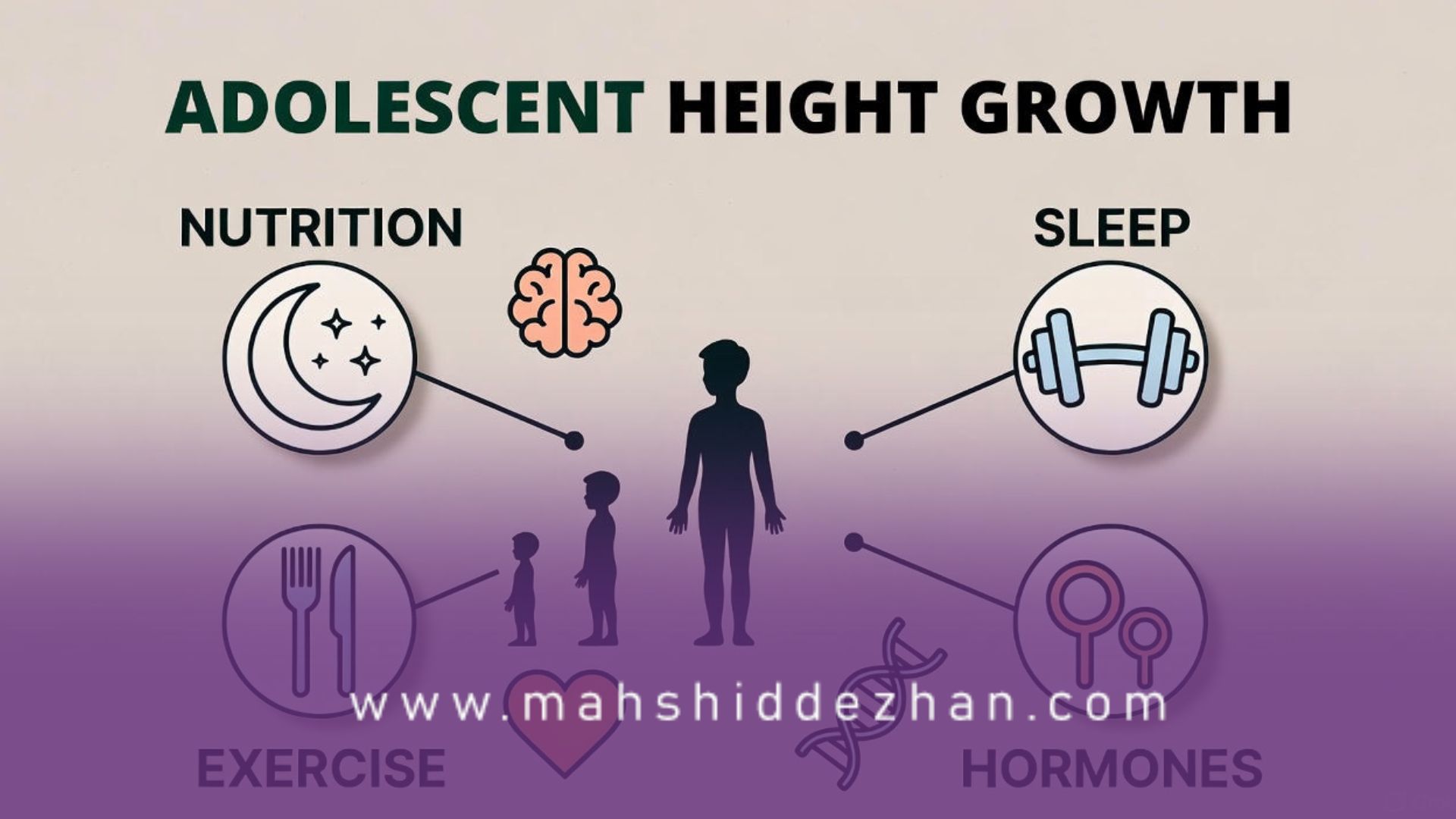 مواد مغذی کلیدی برای افزایش قد