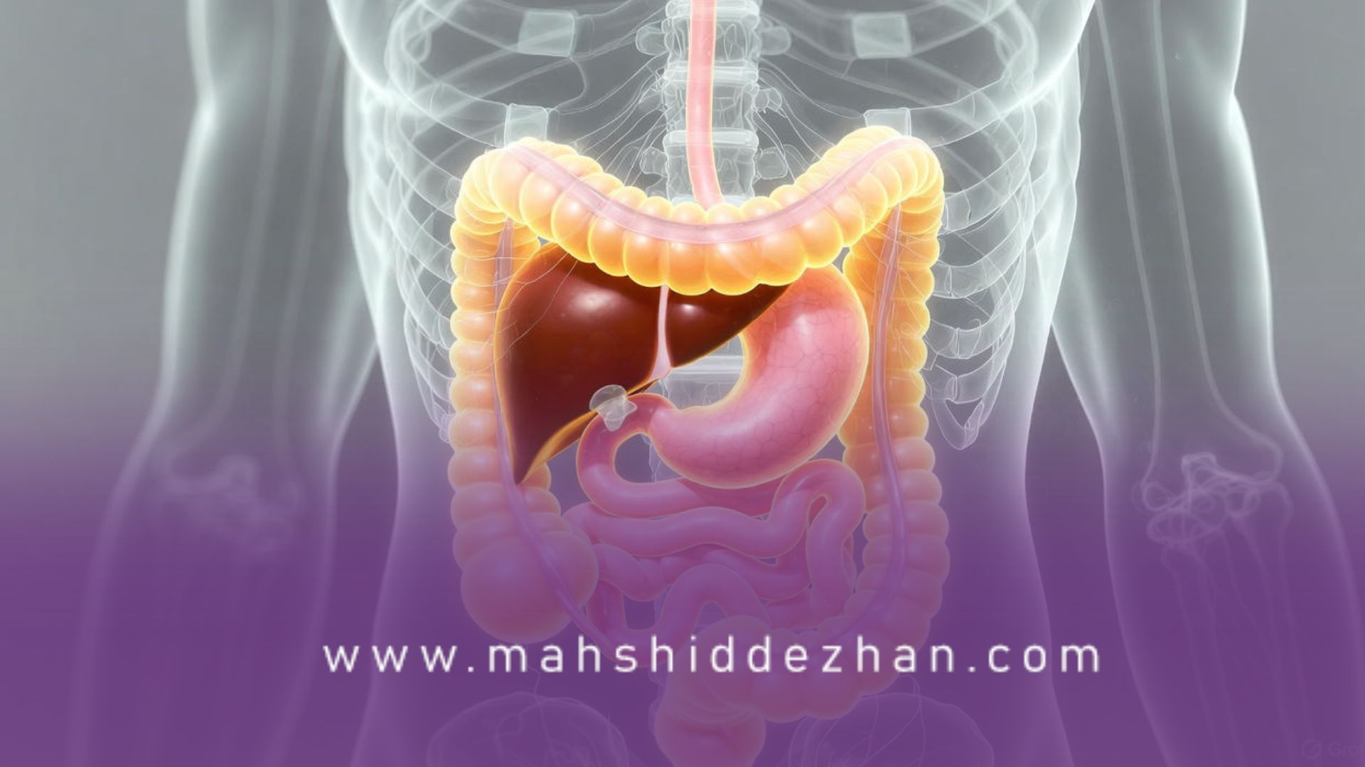 رفلاکس معده؛ وقتی سوزش سر دل، اشتها را بههم میریزد