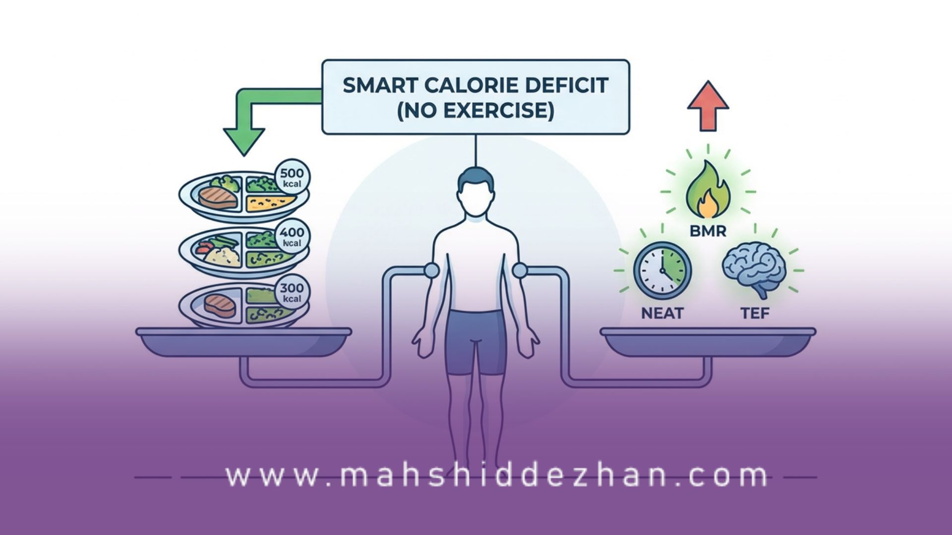 پروتئین کافی برای حس سیری طولانی